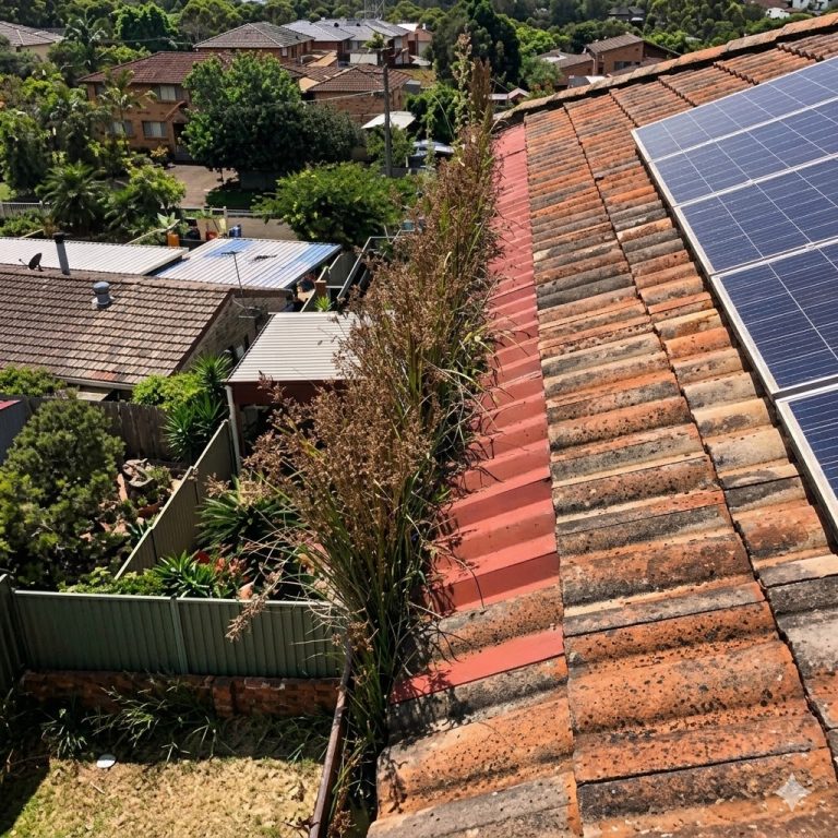 Severe gutter blockage cleared for a residential home in Castle Hills.